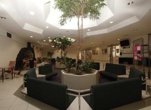 a waiting room with a tree in the middle at Kolej Akademie in Brno