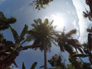 Foto dalla galleria di Bimanjee Mango Resort a Matara