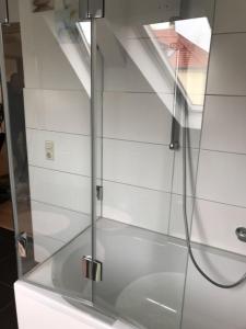 a shower with a glass door in a bathroom at Ferienwohnung Tonberg 4 in Meißen