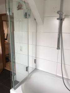 um chuveiro com uma porta de vidro na casa de banho em Ferienwohnung Tonberg 4 em Meissen