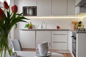 Kuchyň nebo kuchyňský kout v ubytování Apartmán u Masaryka