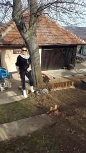Gallery image of Holiday Home Vila Kikovi in Dragolj