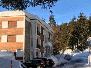 Sorecrans trong mùa đông