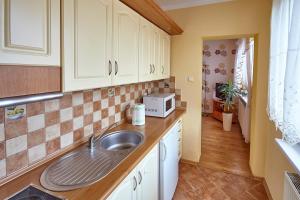 Kuchnia lub aneks kuchenny w obiekcie Apartamenty Vega