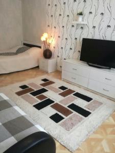 a living room with a television and a rug at Apartment on Gagarina in Smolensk