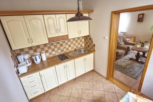 Kuchnia lub aneks kuchenny w obiekcie Apartamenty Vega