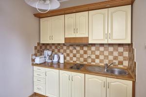 Kuchnia lub aneks kuchenny w obiekcie Apartamenty Vega