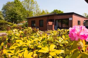 einen Busch mit einer rosa Blume vor einem Gebäude in der Unterkunft Baltrumweg 1 in Wangerland