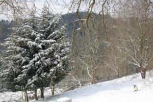 Casa Rural Ecológica Arrizurieta v zimě
