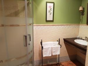 a bathroom with a shower and a sink at Hotel Rey Sancho IV in Santisteban del Puerto