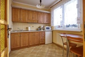 Kuchnia lub aneks kuchenny w obiekcie Apartamenty Vega