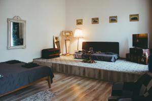 TV a/nebo společenská místnost v ubytování Mansion Josephina