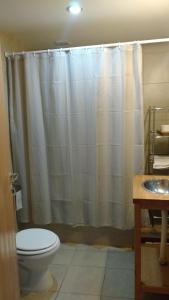 a bathroom with a shower curtain and a toilet at Apart Dry Fly in Junín de los Andes