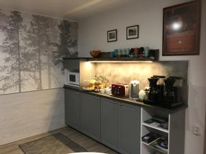 uma cozinha com um balcão e um micro-ondas em Guesthouse Borealis em Rovaniemi