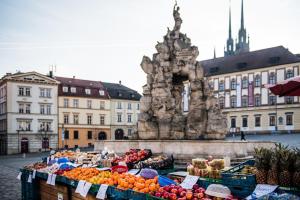 Jedlo v apartmáne alebo blízkom okolí