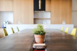a small potted plant sitting on a table at MaisonMe Boutique Hotel in Bardolino