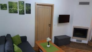 TV a/nebo společenská místnost v ubytování Apartmán Pohoda Nová Pec