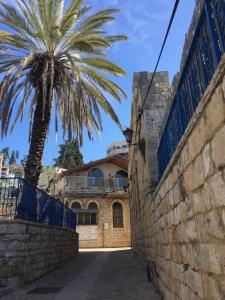 eine Palme vor einem Gebäude mit einer Wand in der Unterkunft Off The Square in Safed