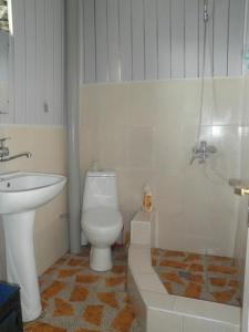 La salle de bains est pourvue de toilettes et d'un lavabo. dans l'établissement Century House of Larisa, à Mestia