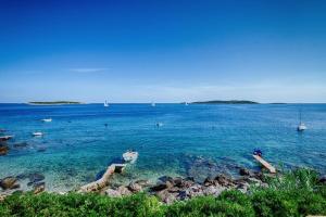 a large body of water with boats in the water at Seaview Suite Lissa in Vis