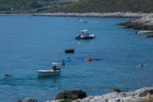 a group of people swimming in a body of water at Seaview Suite Lissa in Vis
