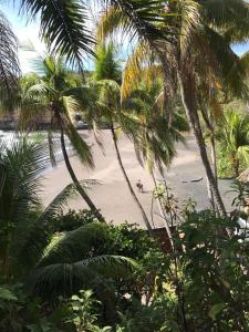 einen Strand mit Palmen und Menschen im Sand in der Unterkunft Shalpa surf villa in La Libertad