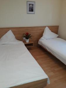 two beds in a hotel room with a potted plant at Hotel Restaurant Stern in Mannheim