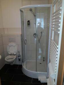 uma casa de banho com um chuveiro e um WC. em Hotel Restaurant Stern em Mannheim