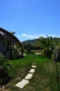 a path leading to a house with a palm tree at Relax in Vieste