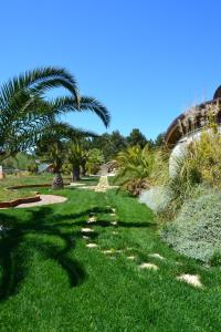 a lush green lawn with palm trees and plants at Relax in Vieste