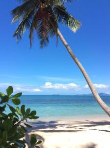 a beach with two palm trees and the ocean at Jasmine & Tea House in Mae Nam