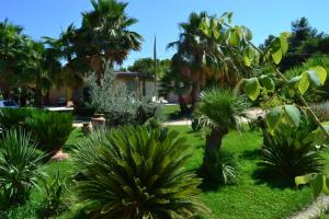 a garden with palm trees and plants at Relax in Vieste
