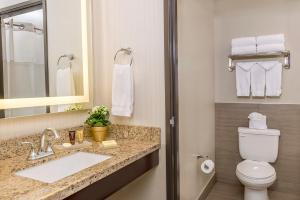 a bathroom with a toilet, sink and mirror at Ayres Suites Yorba Linda/Anaheim Hills in Anaheim