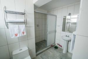 ein Bad mit einer Dusche, einem WC und einem Waschbecken in der Unterkunft Kaaro Hotel El Buho in Puno
