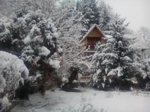 una casa cubierta de nieve frente a los árboles en Pensiunea Paradis, en Borobăneşti