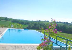 basen z kwiatami w ogrodzie w obiekcie Villa La Fontana w mieście Castiglione del Lago