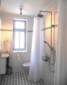 a bathroom with a shower and a toilet and a window at FeWo Hottelstedt in Hottelstedt