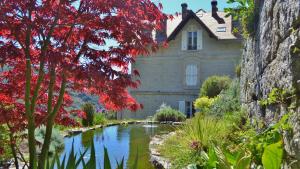 a house with a pond in front of it at Chatelet de Campo in Campo