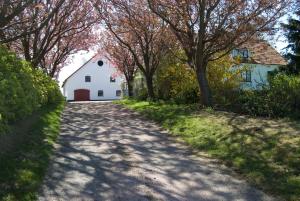 a dirt road with a white barn and trees at Peterslund in Östra Tommarp