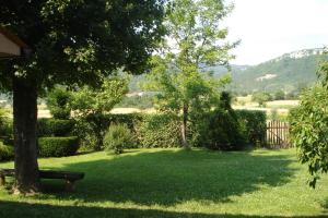 un banco del parque sentado bajo un árbol en un patio en Apartmani Aldo, en Roč