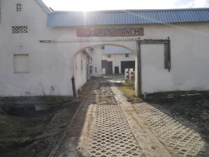Fotografia z galérie ubytovania Pod kasztanem gospodarstwo agroturystyczne v destinácii Stronie Śląskie