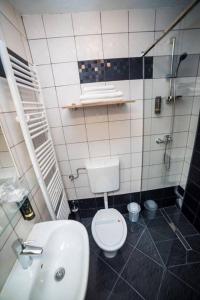 a bathroom with a toilet and a sink at Motel Stovrela in Cazin
