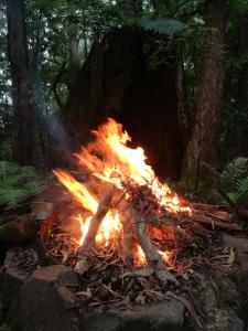 a fire burns in a pile of wood at Springbrook Storybook in Springbrook