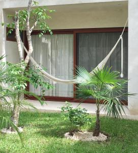 Gallery image of Amazing Casa LAM Tulum & Private Pool in Tulum