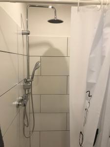 a shower with a shower head in a bathroom at Grimmershof in Hürtgenwald