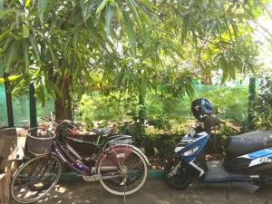 Giardino di Alass Ga For Pets Lovers