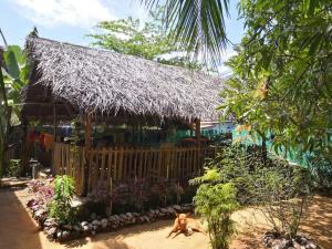 Giardino di Alass Ga For Pets Lovers