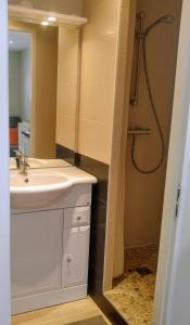 a bathroom with a sink and a shower at Charmant studio á Autrans in Autrans