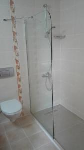 a bathroom with a glass shower with a toilet at Mavruka Hotel in Oludeniz