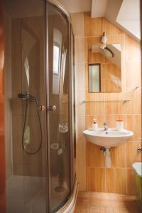 a bathroom with a shower and a sink at Penzion U Černého Potoka in Nová Lhota